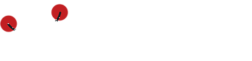 Polisan – Boya